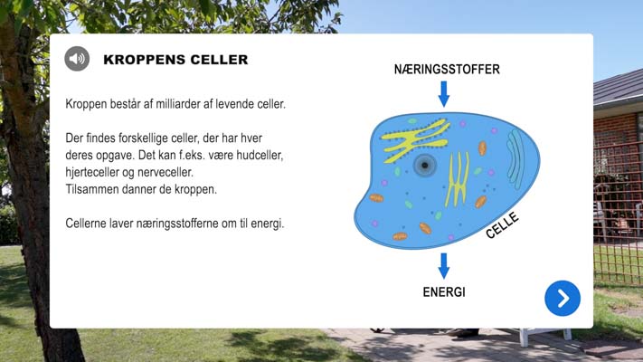 Screenshot af infoboks fra Film med Info