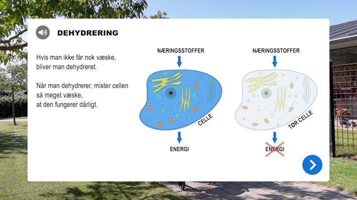 Screenshot af infoboks fra Film med Info